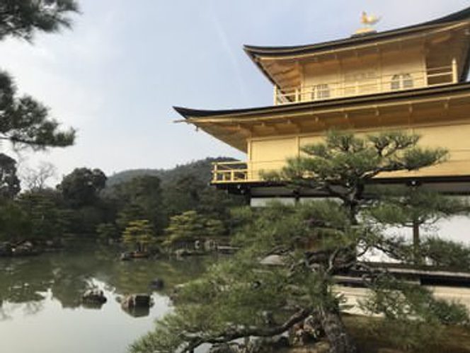 A multi-tiered shrine overlooks the twisted branches of a tree by the side of a lake.